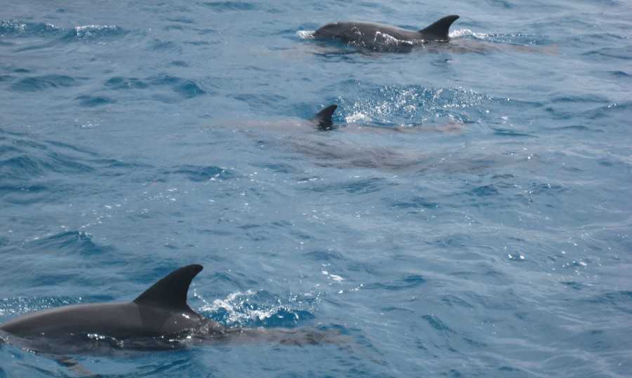 ausfluege-von-hurghada