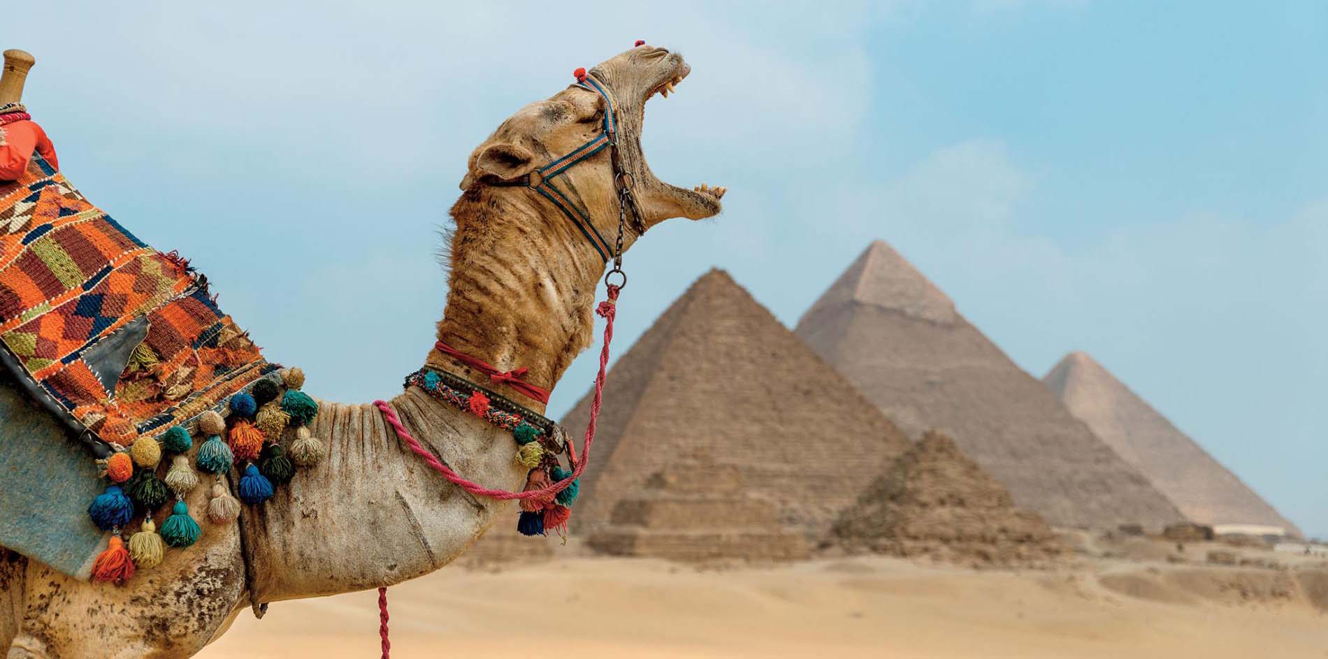 10 Tage Nilkreuzfahrt und Kairo